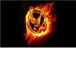 hunger game fan movie fan club