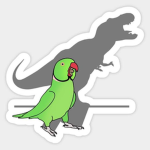 Winger YT