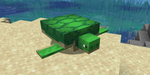 Turtle club 101