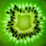 Kiwi Group Have Fun