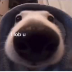 Lob u