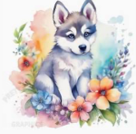Huskyberriesofficial