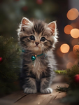 Meows kitten