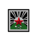 Engineer Regiment