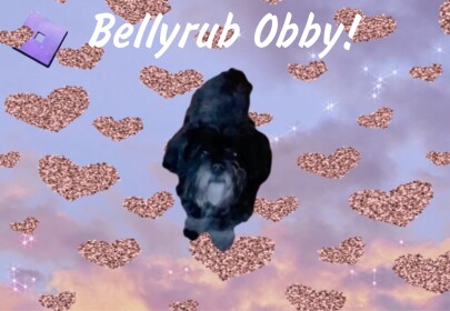 Bellyrub Obby! ☻ (Not Finished)