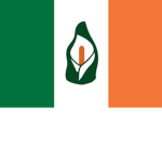 Irish Rebellion Militia