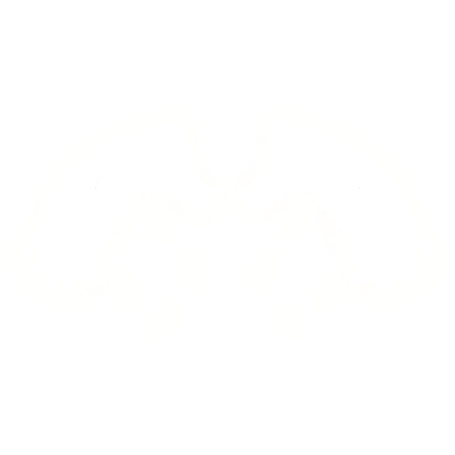 (EMISSIVE) Pure White Wings Full Feather Glowing