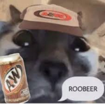 ROOT-BEER GANG