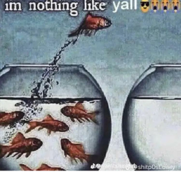 MLGsquadBOII's Place