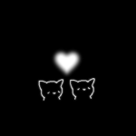 Lily_134588
