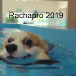 ราชาโปร้2019