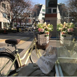 ⋆ EUN01A ⋆