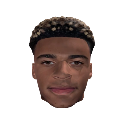 Desire Doue World Cup 2026 France Detailed Head Roblox item thumbnail