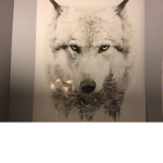 Wolfy worldwide