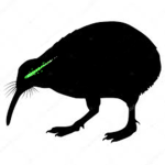 The Kiwi Order
