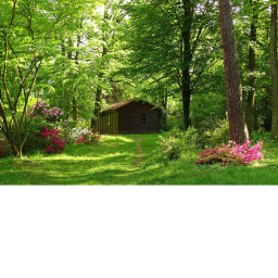 the nice place