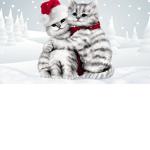 the cat lavas
