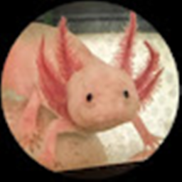 Axolotl 	Hangout