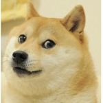 !!Doge United!!