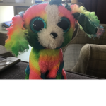 Lola the puppy