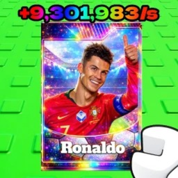 Sports Card Collection