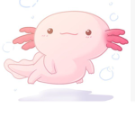 AXOLOTL CREW!!