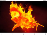 Scorched sharks
