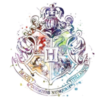 Believe to Magic