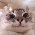 0NLY KATE