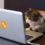 Spiek Development Team