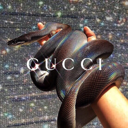 ∙𝗪𝗲 𝘀𝗮𝘆 𝗵𝗼𝗺𝗲.