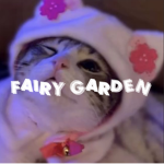 Fairy Garden !