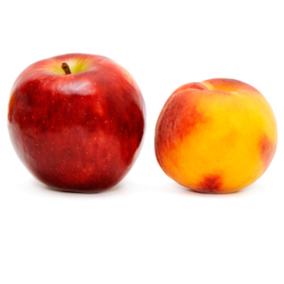 the fruit wars