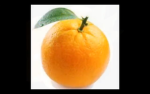 Fun fruit group!!!