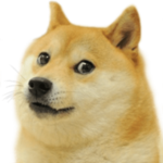 #THA EPIC DOGENATION