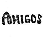 The Amazing Amigos
