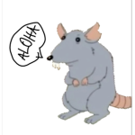ratsaysalohaFAN