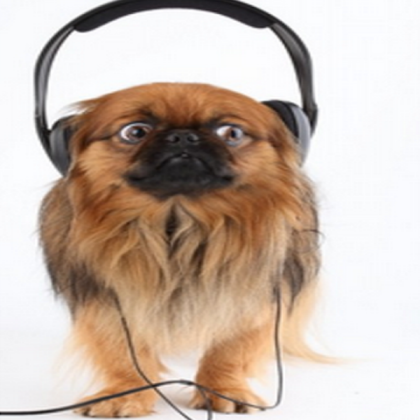 dog Roblox decal