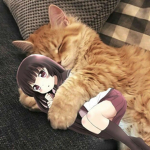 qno's kittens ;3