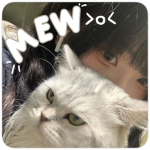 mew >o<