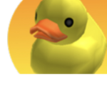 The duck navy