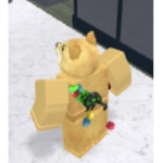 Doges home (homes for doges)