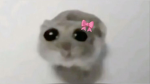 WTH EW GACHA HEAT AND ROBLOX HEAT