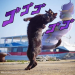 Starter_TH