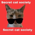 the secret cat society
