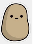 Potato’s are taking over the world!!!