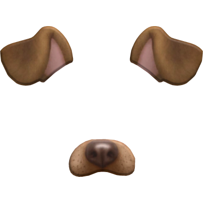 Puppy Dog Face Filter