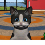 Team Cat’s for life