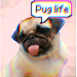 Official PugNation