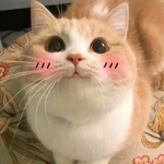 암울한